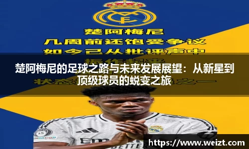 Bsport体育在线官网